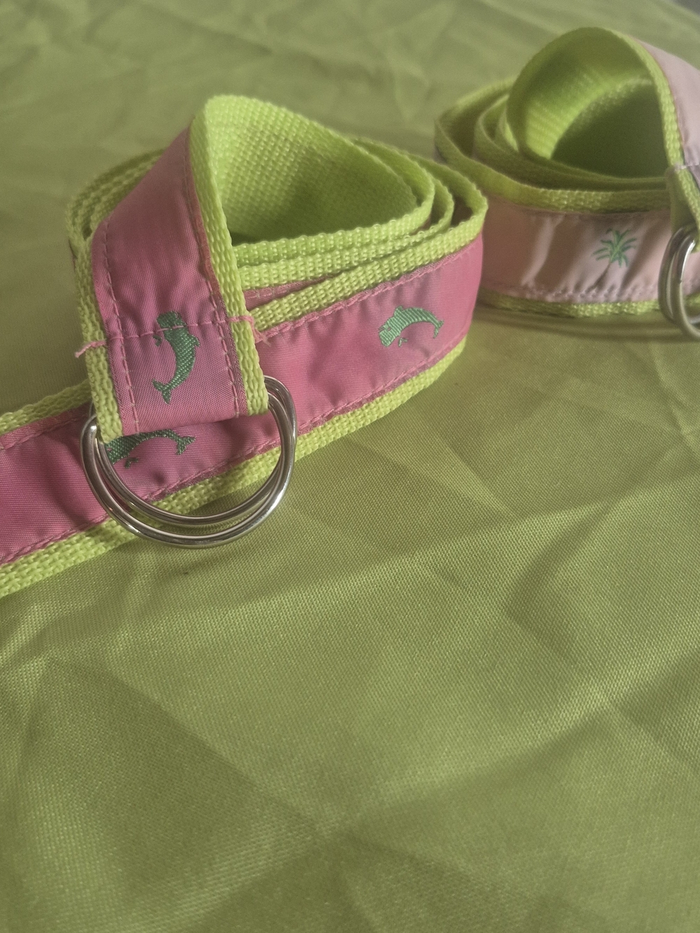 Pink & Lime Embroidered Dolphin & Palm Tree  D-Ring Belt 2pc bundle